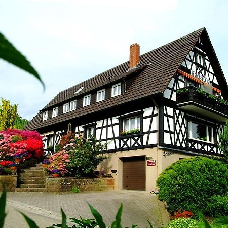 Pension Am Weinberg ซัสบาควัลเดิน ภายนอก รูปภาพ